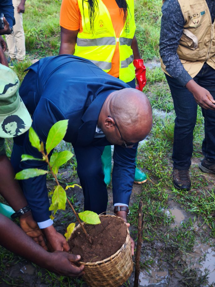Mise en terre d'un plant par Monsieur le Professeur Dodzi Kokoroko.